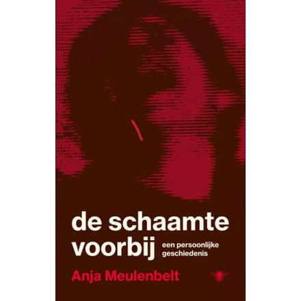 De Schaamte Voorbij - Anja Meulenbelt