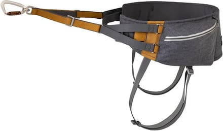 Handsfree Hondenriem voor Wandelen en Joggen met Verstelbare Tailleband