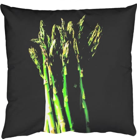 Sierkussens - Kussentjes Woonkamer - 60x60 cm - Asperges - Felgroen