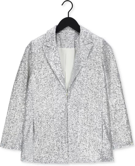 Goosecraft Bowie Sequine Blazer Blazers Dames - Zilver - Maat XS