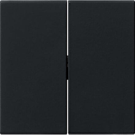 Gira Systeem 55 Besturingselement/Centrale plaat Schakelmateriaal - 0295005 - E2YDR