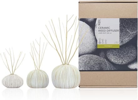 FT 516688 Ceramic Diffuser Set 240ml Lem