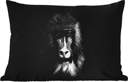 Buitenkussens - Tuin - Aap - Dieren - Ogen - Bruin - Zwart wit - 50x30 cm