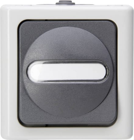 Kopp 560656006 BlueElectric Compleet Uitschakelaar, Wisselschakelaar spatwaterdicht Grijs 1 stuks 1 stuk(s)