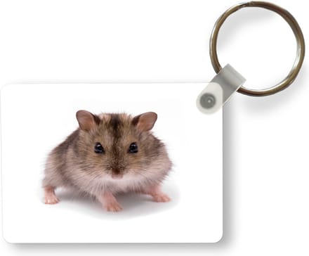 Sleutelhanger - Kleine hamster - Uitdeelcadeautjes - Plastic