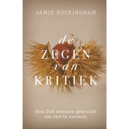 Zegen Van Kritiek, De - Jamie Buckingham