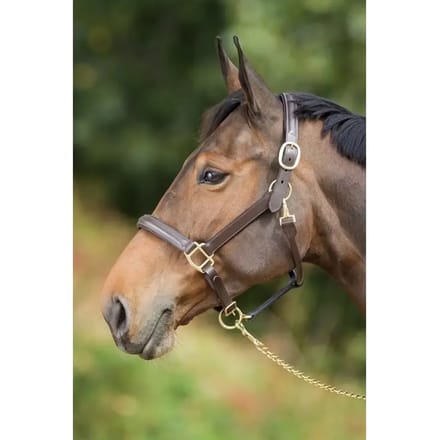 Gevoerd lederen halster voor paarden HFI Raised