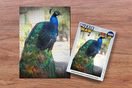 Puzzel Dieren - Pauw - Veren - Legpuzzel - Puzzel 500 stukjes