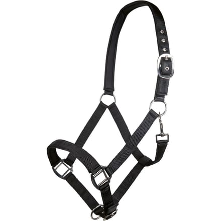 Nylon halster voor paard met zachte voering HKM Charming