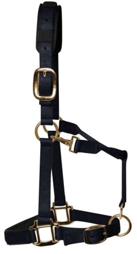 KM Elite - Luxe Gevoerde Halster – Zwart - Medium - Cob
