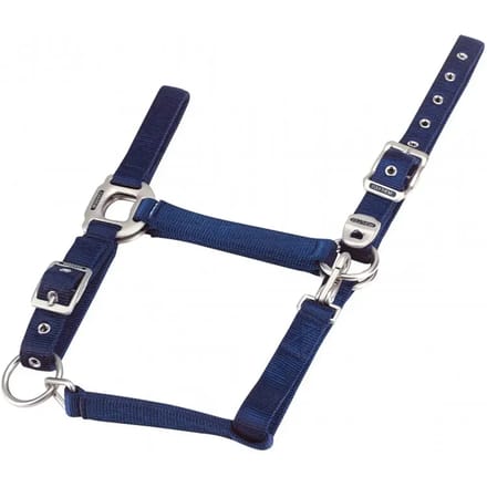 Halster voor paarden Equithème Nylon