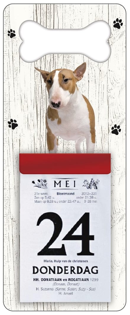 Scheurkalender 2024 Hond: Bull Terrier Miniatuur