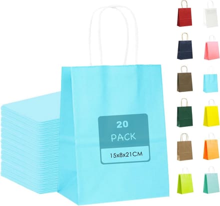 Solidchoice - 20 Stuks Kraft Papier Geschenkzakken met Handvat