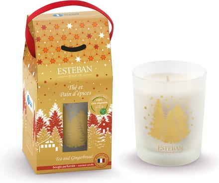 Esteban kerst Tea and Gingerbread geurkaars 180gr