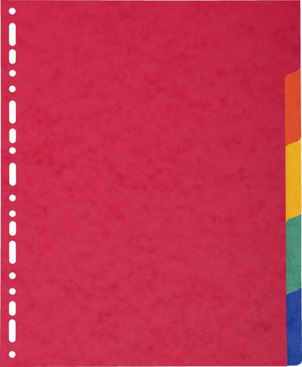 Exacompta 2405E 25x INTERCAL.CARTE LUSTR