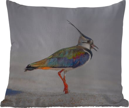 Buitenkussen - Vogel - Dieren - Zand - Kievit - 45x45 cm - Weerbestendig