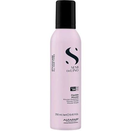 Mousse coiffante STYLE & CARE pour tous types de cheveux 250 ml