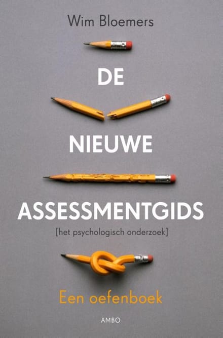 De Nieuwe Assessmentgids - Wim Bloemers