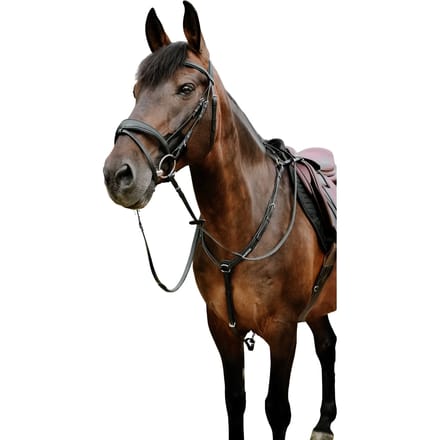 Gecombineerd hoofdstel met neusriem Norton Pop