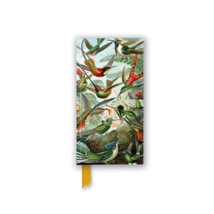 Ernst Haeckel: Hummingbirds (Foiled Slimline Journal) - Flame Tree Slimline Journals - Flame Tree Studio