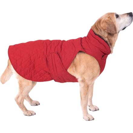70 cm Ruglengte Hondenjas Gewatteerd Rood