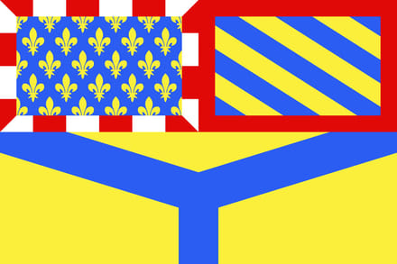 Vlag Yonne 150x225cm