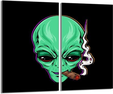 TMK ArtDeko - UFO Serie - Glazen Beschermer - 2x30x52 cm - Multitoepassing