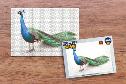 Puzzel Pauw - Zand - Veren - Blauw - Legpuzzel - Puzzel 500 stukjes