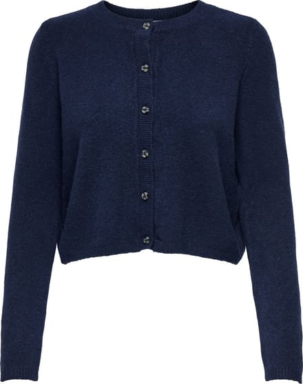 JDY - JDYCHLOE L/S CARDIGAN KNT Dames Trui