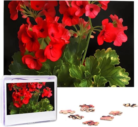 Houten Puzzel - Foto Legpuzzel - Ontspanning Thuis - Gepersonaliseerd Ontwerp - 1000 Stukjes - Rode Geraniums