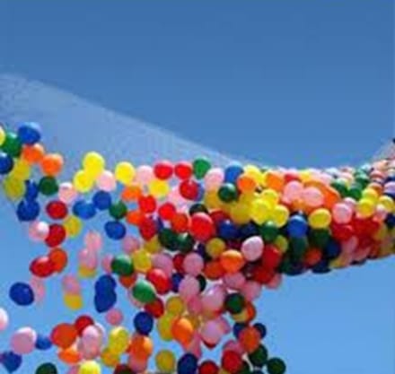 Wefiesta Ballonnenvalnet  1 X 2,4 M Nylon Zwart 100 Stuks