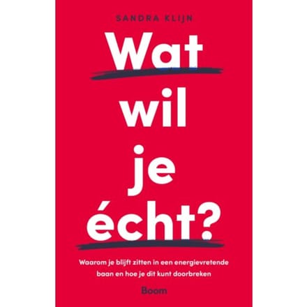 Wat Wil Je - Sandra Klijn