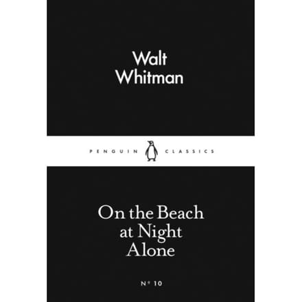 Alone On The Beach At Night - Walt Whitman