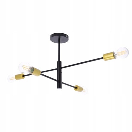 De Zwarte van één 4x 27 LED, 72x51cm