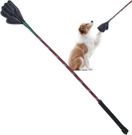 Hond Trainingsstick - Honden Speelgoed - Actieve Training - Elastisch Ontwerp - 63 cm Lengte - Willekeurige Kleur