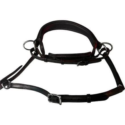 Bitloze hoofdstellen voor paarden Edix Saddles ED2-Grace