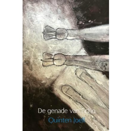 De Genade Van Echo - Quinten Joell