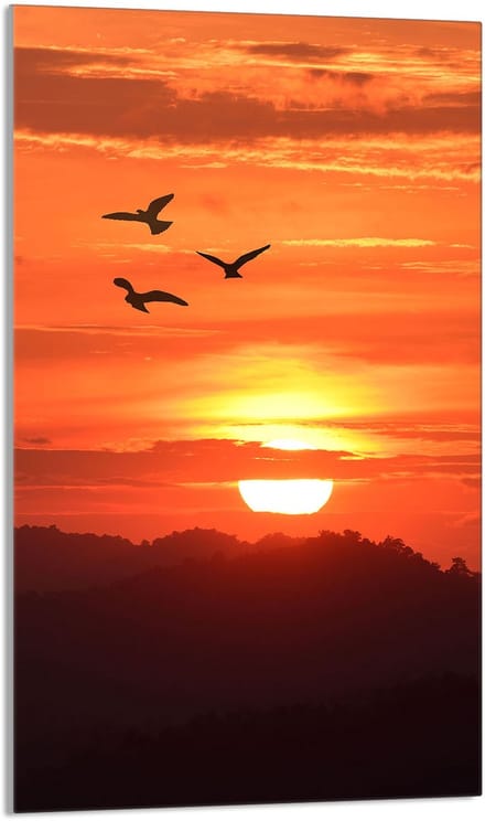 TMK ArtDeko - Snijplank - Glas - 30x52 cm - Zonneprint