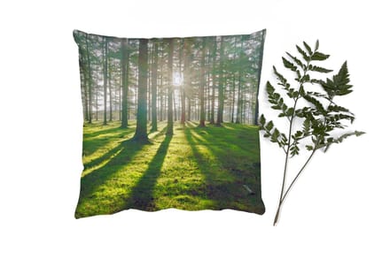 Sierkussens - Kussentjes Woonkamer - 60x60 cm - Bomen - Natuur - Bos