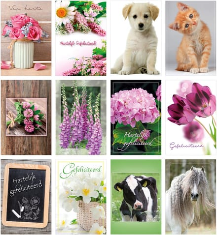 MGPcards - 12 dubbele wenskaarten met envelop - Bloemen - Gefeliciteerd - Zonder tekst - Dieren - 11,5 x 17 cm