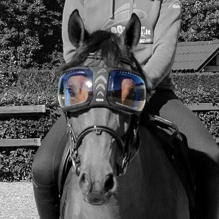 Reserve lenzen voor paardenbrillen eQuick eVysor