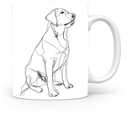 Beker Labrador Retriever