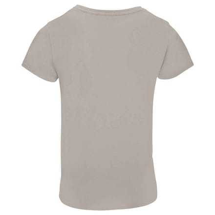 SOLS Dames/Dames Pioneer T-Shirt (Grijze Melange)