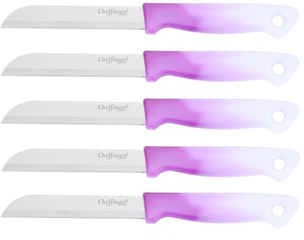 Cheffinger Schilmessenset – RVS Glad – 18 cm – Paars – 5 Stuks - Schilmesje
