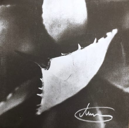 Dirk Serries - Epitaph (2 LP) (Limited Edition)