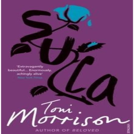 Sula by Toni Morrison Paperback Boek 9780099760016