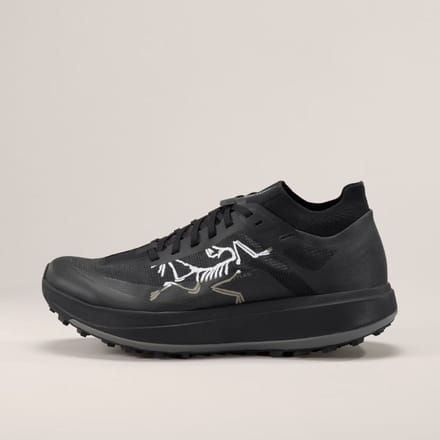 Arcteryx Mens Sylan Pro