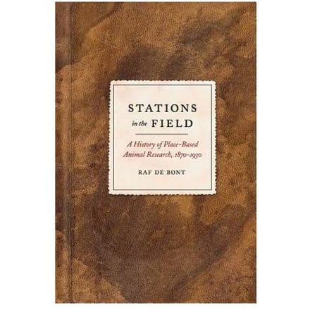 Stations In The Field - Raf de Bont