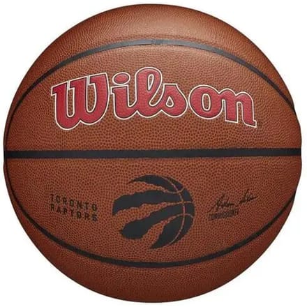 Basketbal Wilson NBA Team Alliance Tor Raptors