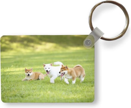 Sleutelhanger - Shiba Inu puppies in het gras - Uitdeelcadeautjes - Plastic
